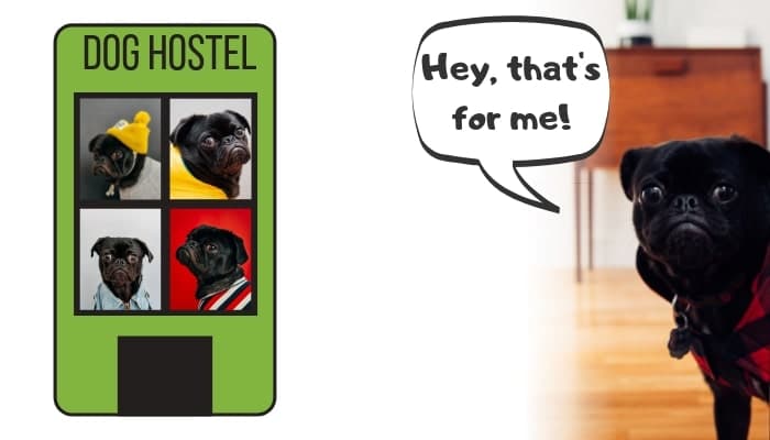 Niche Marketing - Dog Hostel / Pet