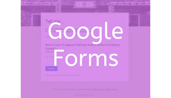 Google Forms Survey - Target Market Research