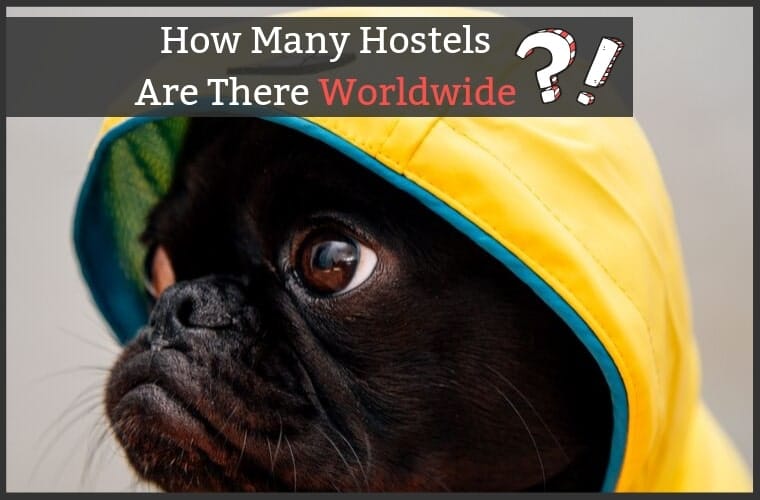 How Many Hostels Are There World Wide?