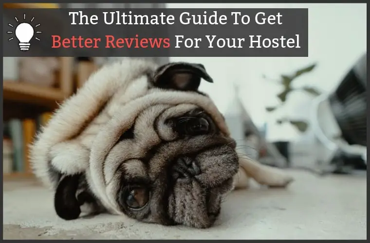 Increase Online Reviews For Hostels