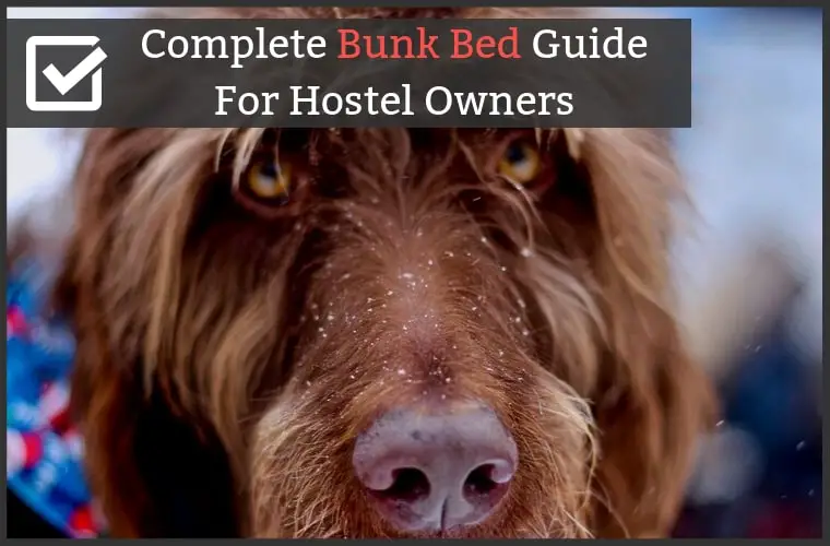 Best Hostel Bunk Bed Guide