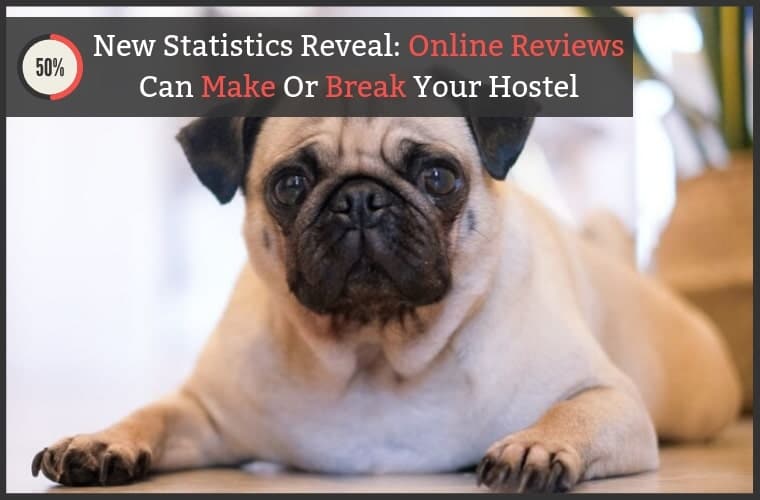 Hostel Online Reviews Statistics