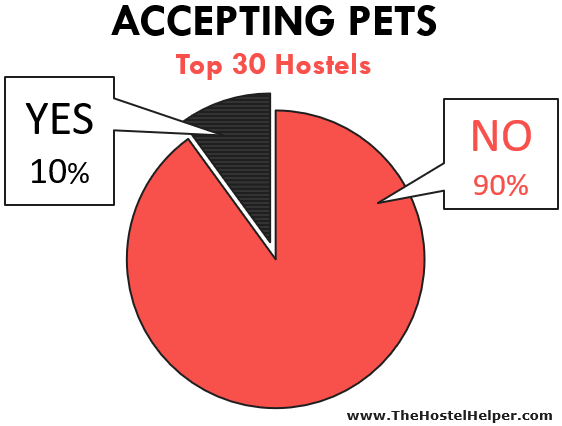 Pet Friendly Hostel Policy