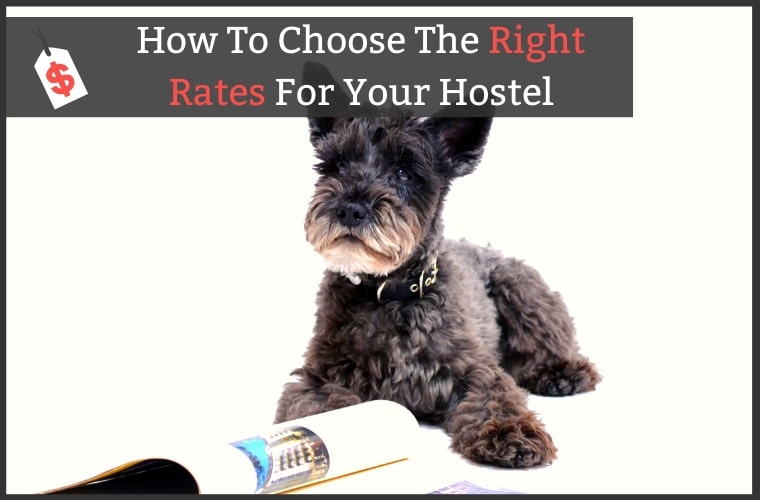 Pricing Strategy Hostels