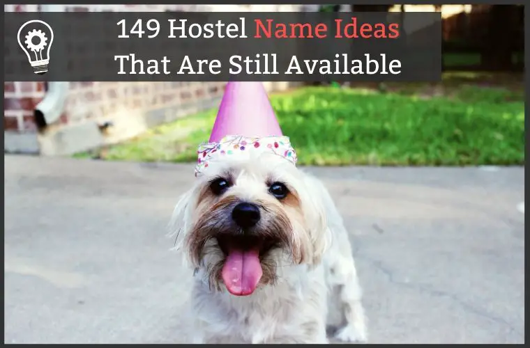 Hostel Name Ideas