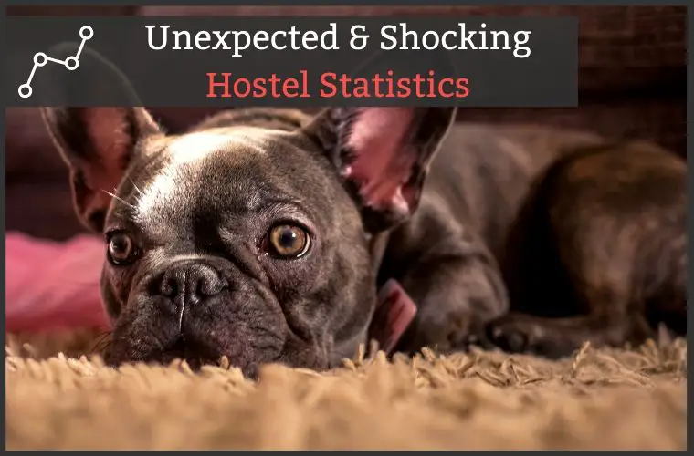 Hostel Statistics
