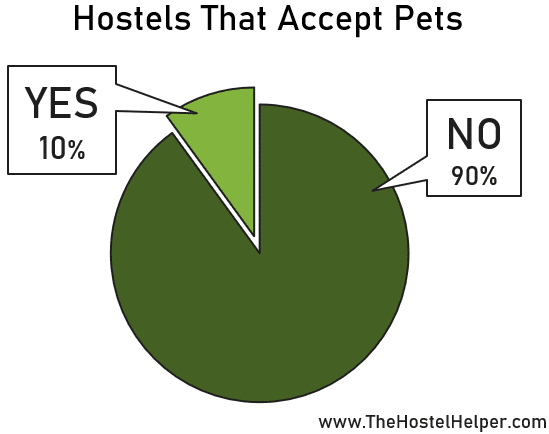 Hostel Pet Policy