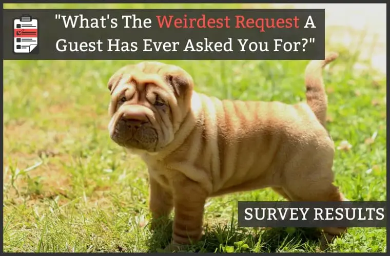 Hostel Manager Survey - Weirdest Request