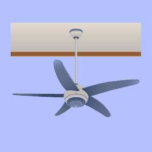 Hostel Ceiling Fan Ideas